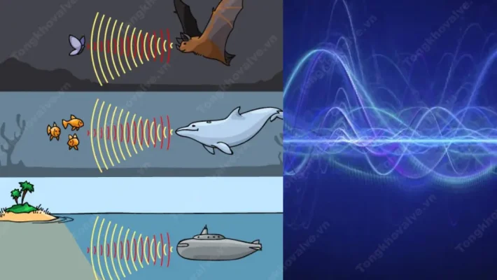 Sóng âm là gì ? Các nguồn sóng âm trong tự nhiên và thiết bị 
